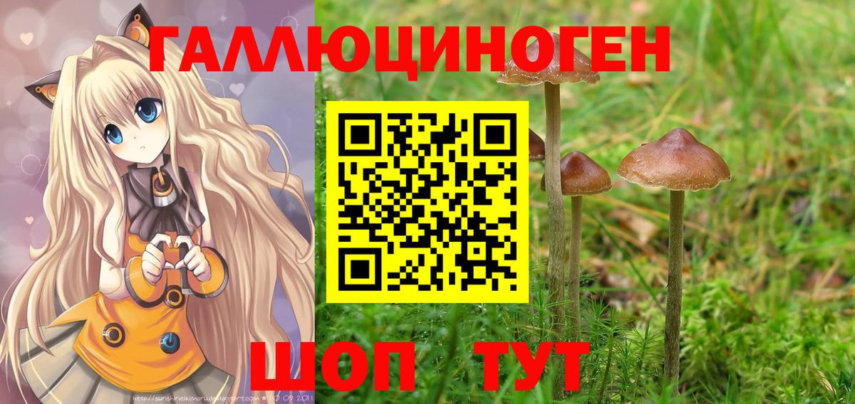 Псилоцибиновые грибы мухоморы  Вход с VPN  Заводоуковск 