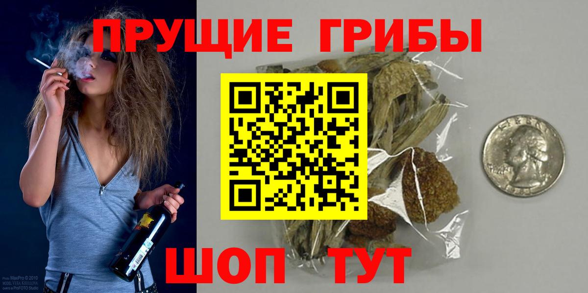 Псилоцибиновые грибы GOLDEN TEACHER Заводоуковск